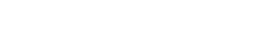 Cibertordera